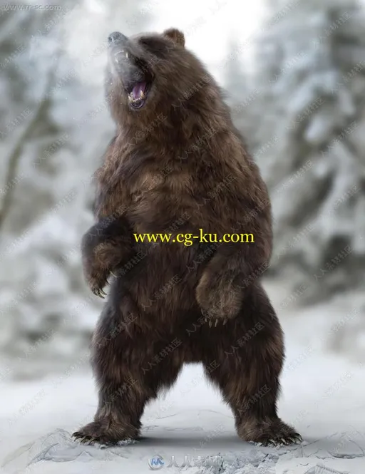 凶猛厚重身形皮毛棕熊姿势3D模型的图片1