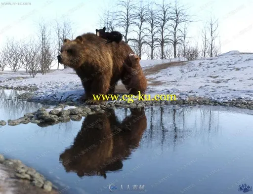 凶猛厚重身形皮毛棕熊姿势3D模型的图片3