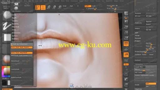 人体雕刻人体建模全面精髓各部鼻子耳朵眼睛嘴视频教程的图片2