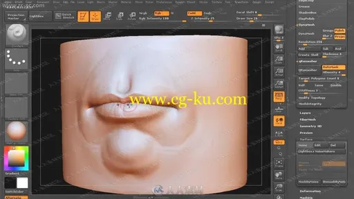 人体雕刻人体建模全面精髓各部鼻子耳朵眼睛嘴视频教程的图片3