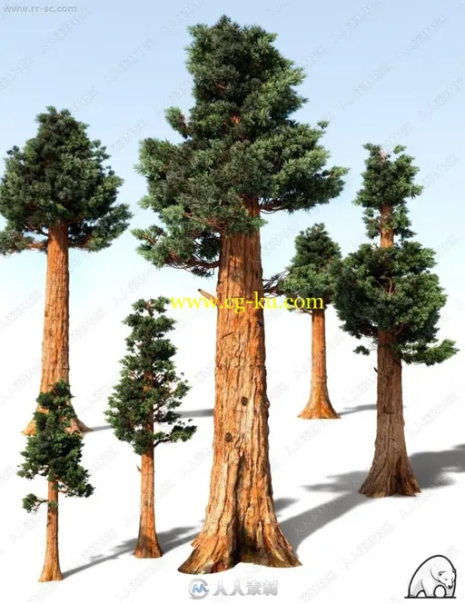 多组不同形状枝干巨型红杉树3D模型的图片1