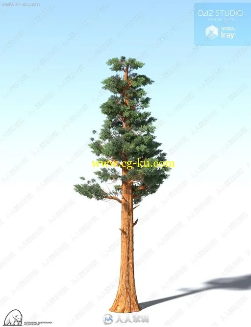 多组不同形状枝干巨型红杉树3D模型的图片2