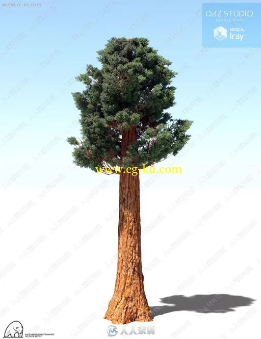多组不同形状枝干巨型红杉树3D模型的图片3