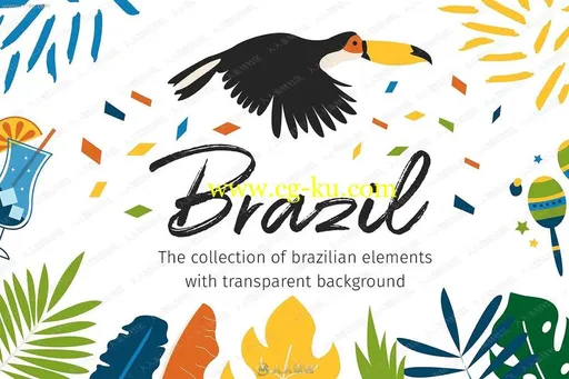 巴西风格异国风情元素花卉鹦鹉清新图片素材的图片1