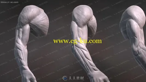 人体雕刻人体建模全面精髓男性手臂身体头部视频教程的图片1