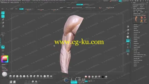 人体雕刻人体建模全面精髓男性手臂身体头部视频教程的图片2