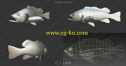 20组蓝鲸蟹海豚鱼类3D模型合集的图片3