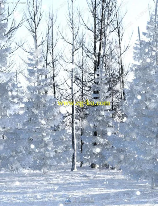 冬季森林挂雪松树树丛场景3D模型的图片1