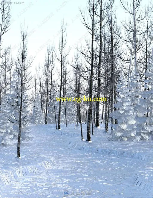 冬季森林挂雪松树树丛场景3D模型的图片3