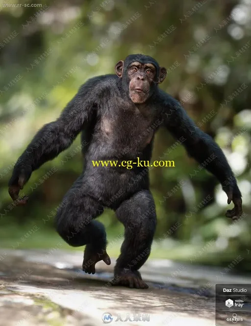 模拟人类聪明黑猩猩多组服装造型3D模型的图片1