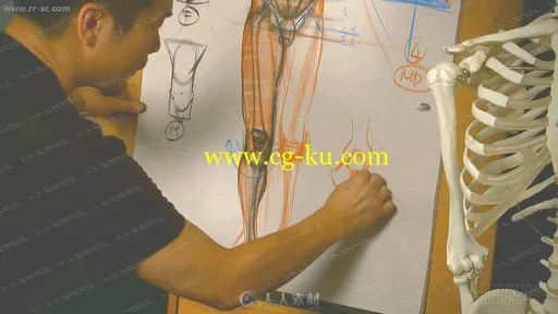好莱坞艺术大师手绘细致人体比例结构视频教程第一季的图片2