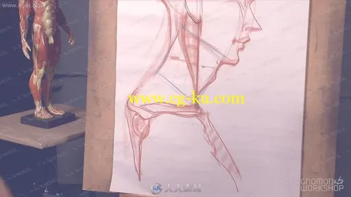 好莱坞艺术大师手绘细致人体比例结构视频教程第二季的图片1