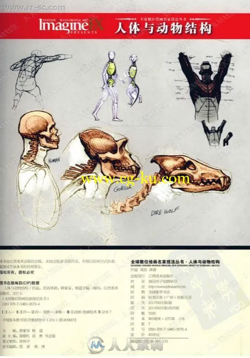 人体解刨绘画法与动物结构教程书籍杂志的图片2