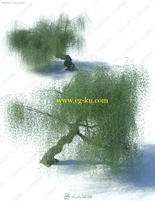 柔软垂下柳树四季风雪变化状态3D模型的图片2