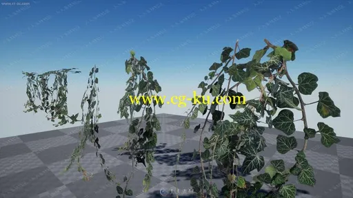 大片藤蔓树叶网格渲染道具UE4游戏素材资源的图片3