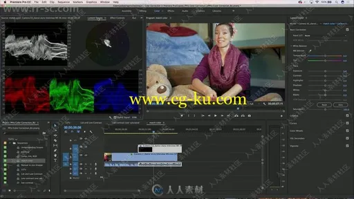 Premiere Pro色彩校正技术揭秘视频教程的图片2