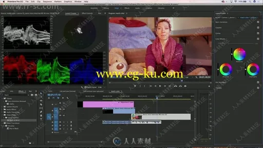 Premiere Pro色彩校正技术揭秘视频教程的图片3