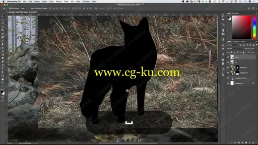 美女与狐狸唯美自然风景特效合成视频教程的图片3