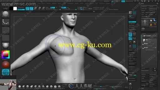 ZBrush影视游戏角色人体雕刻解剖技术视频教程的图片1