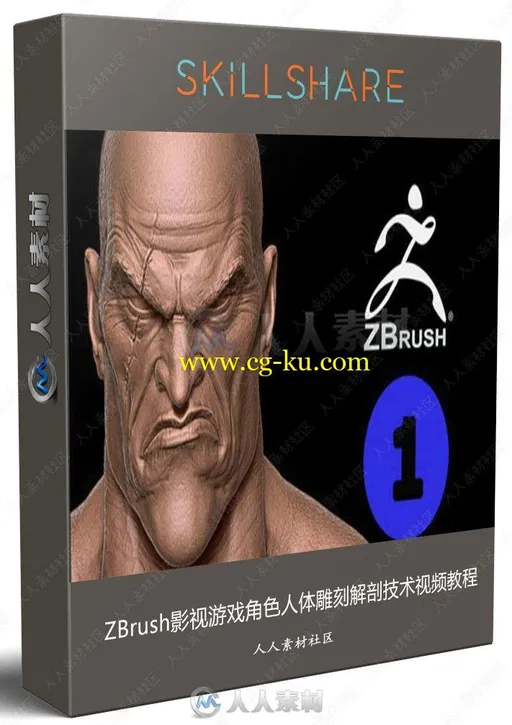 ZBrush影视游戏角色人体雕刻解剖技术视频教程的图片3