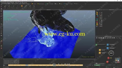 Realflow虎鲸跃水动画实例训练视频教程的图片2