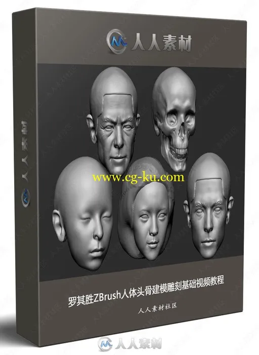 罗其胜ZBrush人体头骨建模雕刻基础视频教程的图片1