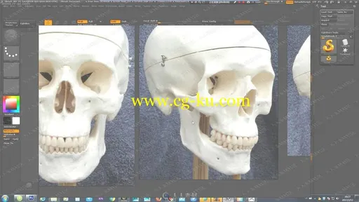 罗其胜ZBrush人体头骨建模雕刻基础视频教程的图片2