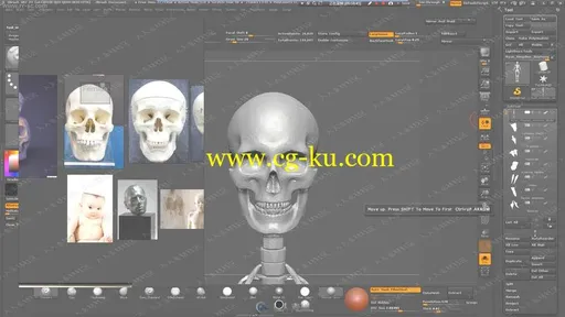 罗其胜ZBrush人体头骨建模雕刻基础视频教程的图片3