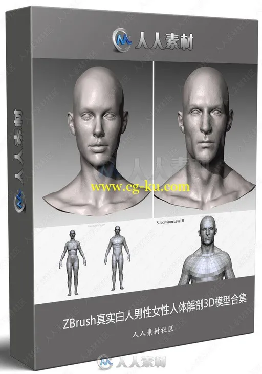 ZBrush真实白人男性女性人体解剖3D模型合集的图片3