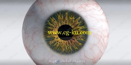 Photorealistic eye generator逼真眼球眼睛制作Blender插件V1.2版的图片1