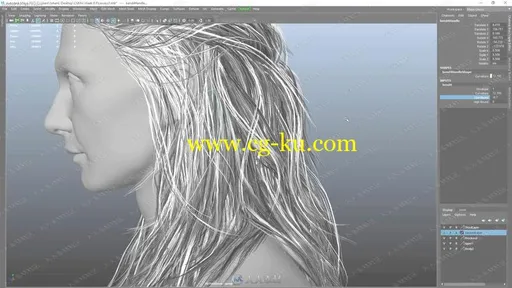CGMA3D游戏人物角色毛发ZB制作视频教程的图片1