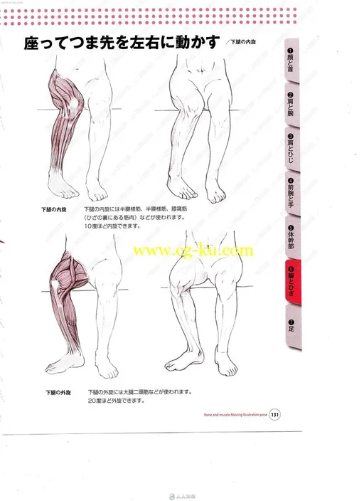 头部四肢躯干人体肌肉骨骼对比透视详解图书籍杂志的图片3