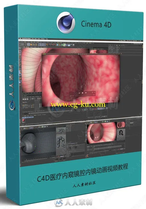 C4D医疗内窥镜腔内镜动画视频教程的图片1