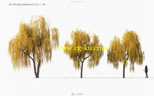 Maxtree出品草木植物3D模型Vol.11合集的图片2