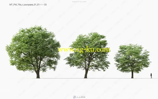 Maxtree出品草木植物3D模型Vol.11合集的图片3