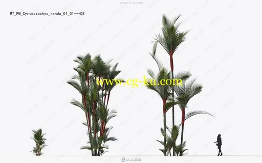 Maxtree出品草木植物3D模型Vol.15合集的图片2