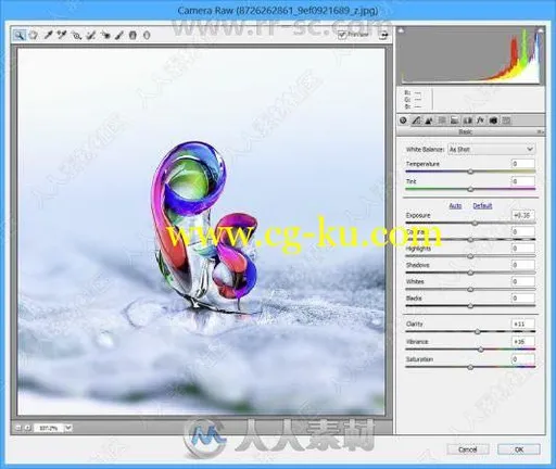 Adobe Camera Raw图像格式调整PS插件V11.2.1版的图片1