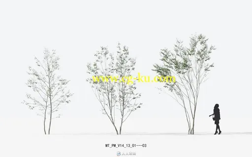 Maxtree出品草木植物3D模型Vol.14合集的图片3