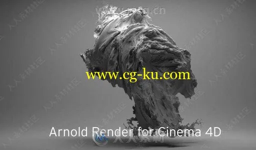 Arnold渲染器C4D插件V2.5.1版的图片2