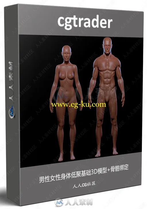 男性女性身体低聚基础3D模型+骨骼绑定的图片2