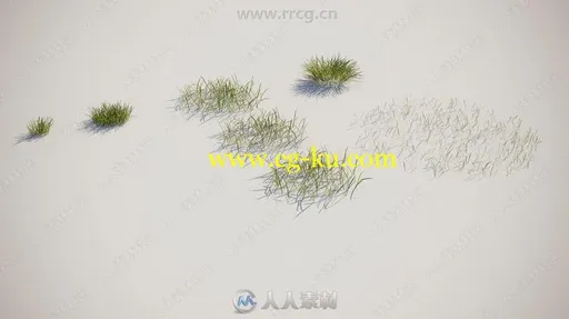 高质量植被草叶3D模型合集的图片2