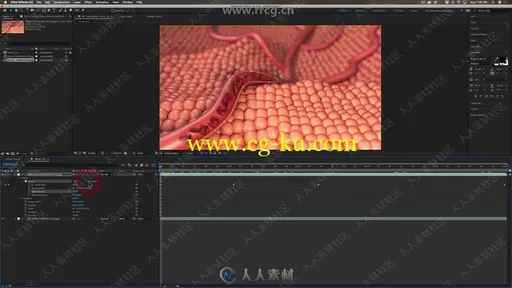 C4D模拟细胞在血管流动动画视频教程的图片2