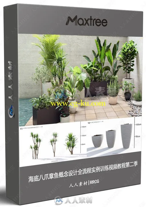 Maxtree出品草木植物3D模型Vol.19合集的图片1