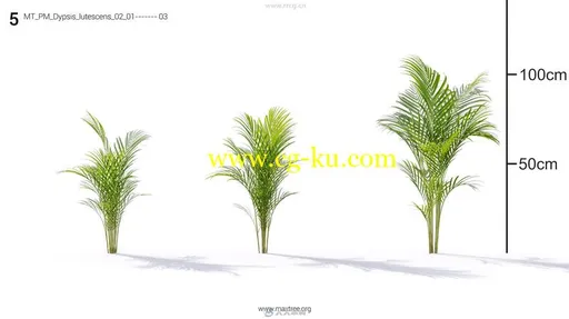 Maxtree出品草木植物3D模型Vol.19合集的图片2