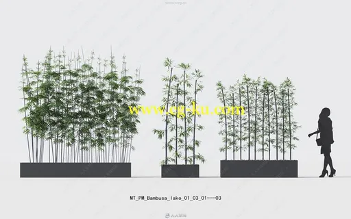 Maxtree出品草木植物3D模型Vol.18合集的图片2