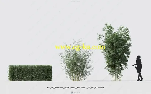 Maxtree出品草木植物3D模型Vol.18合集的图片3