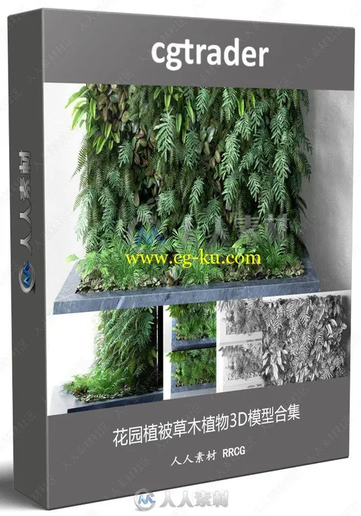 花园植被草木植物3D模型合集的图片3