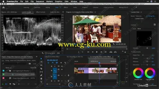 Premiere Pro色彩色调与曝光技术训练视频教程的图片1