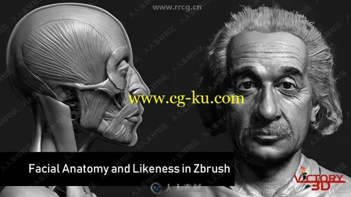 ZBrush角色面部雕刻解剖大师级训练视频教程的图片1