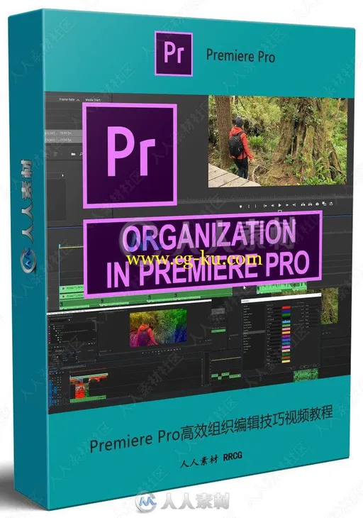 Premiere Pro高效组织编辑技巧视频教程的图片2